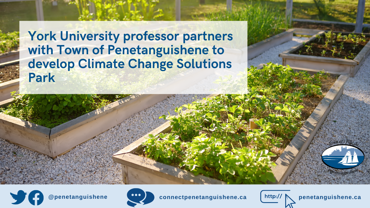 York University professor partners with Town of Penetanguishene to develop Climate Change Solutions Park 