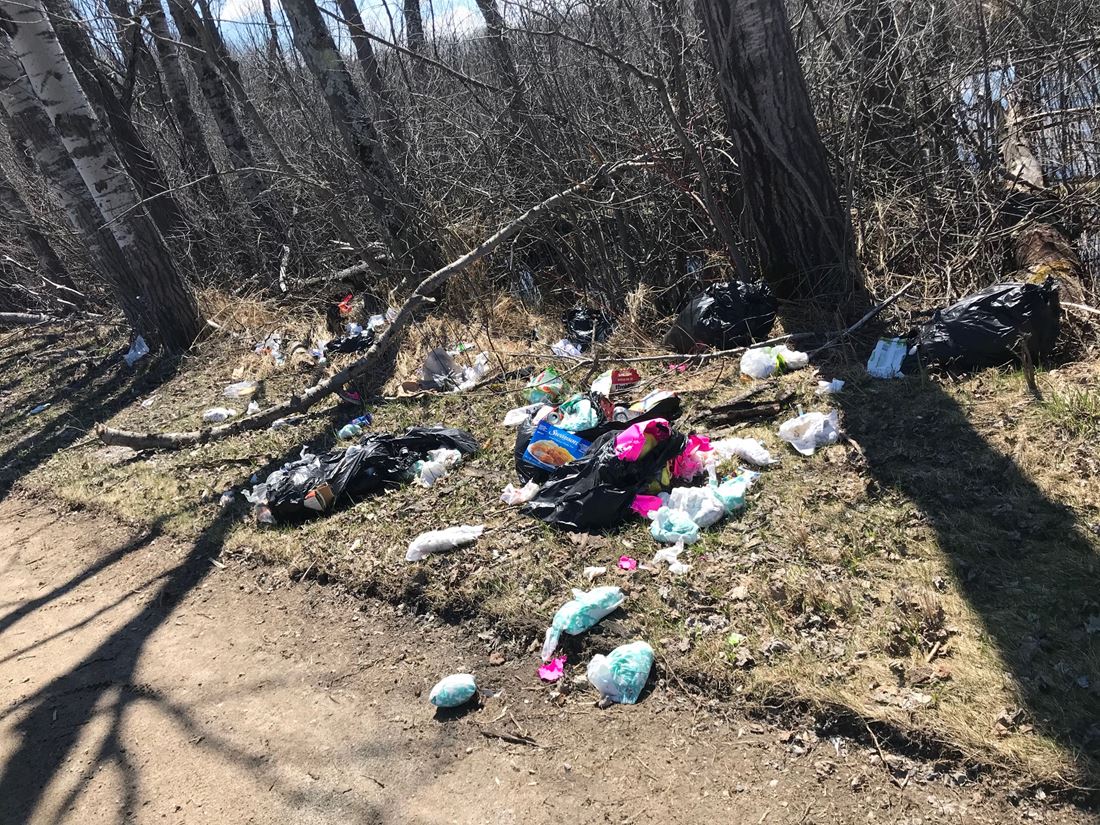 Two Suspects Charged For Littering On Public Property Town of